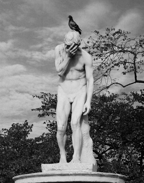 Photograph Margaux H Blunt Statue on One Eyeland