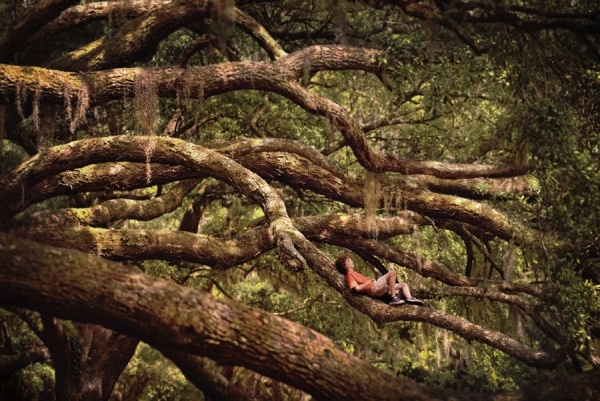 Photograph Jimmy Williams Afternoon Nap on One Eyeland