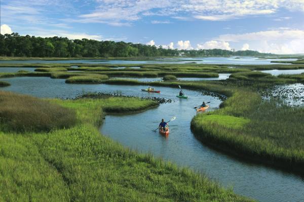 Photograph Chip Henderson Canoeing on One Eyeland