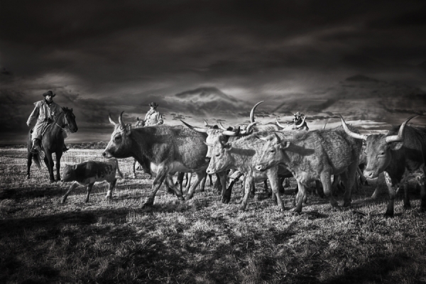 Photograph Jim Gallop Copenhagen on One Eyeland