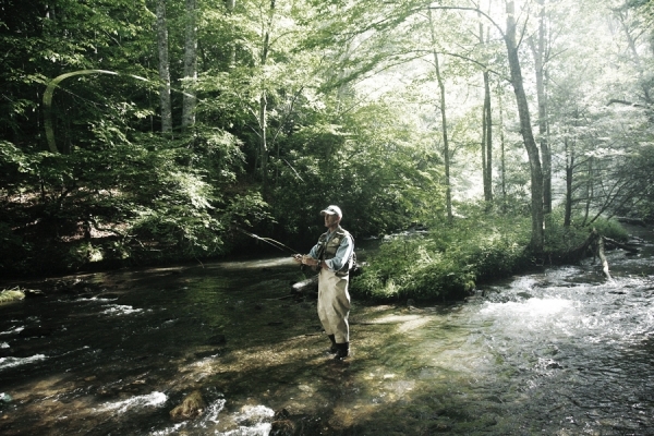 Photograph Chip Henderson Fly Fishing At Dawn on One Eyeland