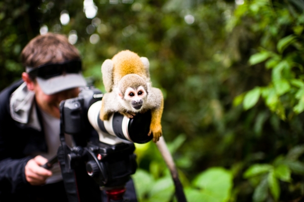 Photograph Kevin Steele Is That A Monkey On Your Lens on One Eyeland