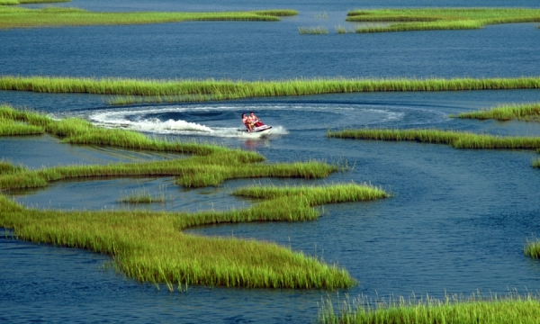 Photograph Chip Henderson Marsh Runner on One Eyeland
