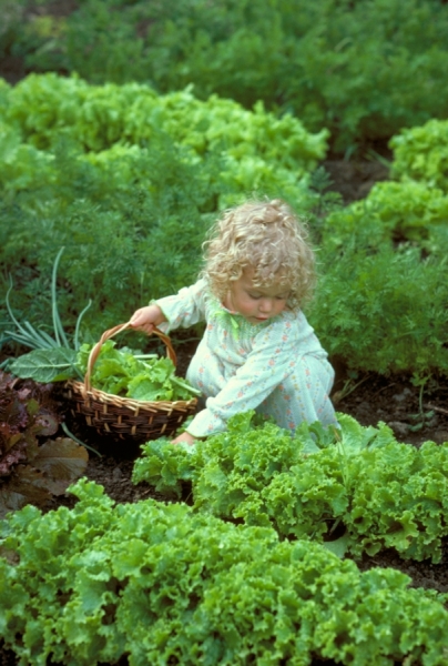 Photograph George Robinson Sara In The Garden on One Eyeland