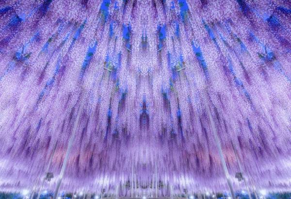 Photograph Tomoshi Hara Shower on One Eyeland