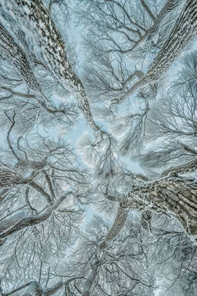 Photograph Petri Damsten Winter Frost on One Eyeland