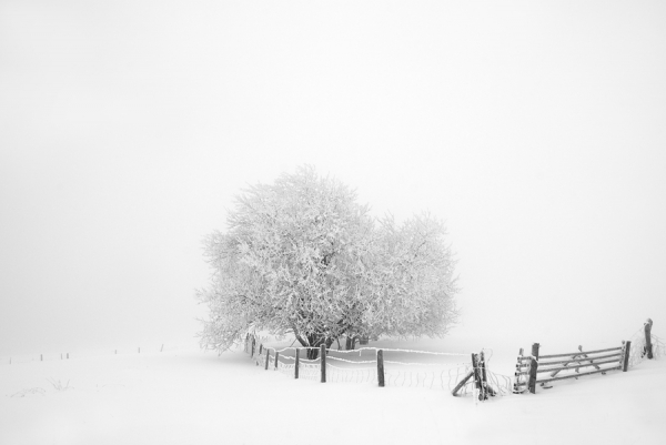 Photograph Carmen Spitznagel A Winters Tale Ii on One Eyeland