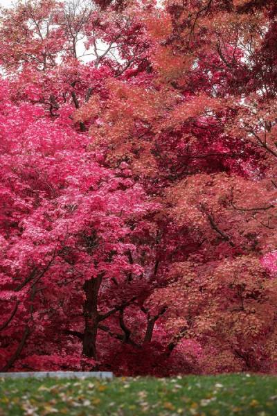 Photograph Mauro Risch Autunno Due on One Eyeland