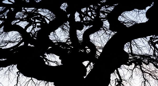 Photograph Marcus Wrango Dark Bsystem on One Eyeland
