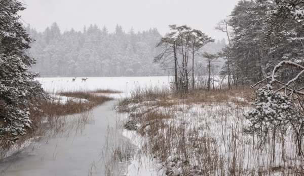 Photograph Norbert Maier Deep Winter on One Eyeland