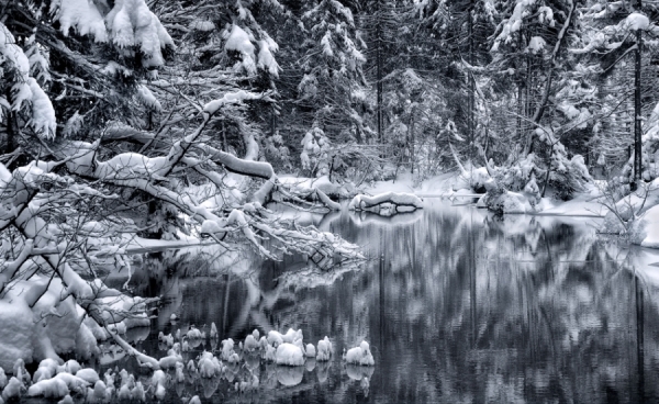 Photograph Norbert Maier Deep Winter on One Eyeland