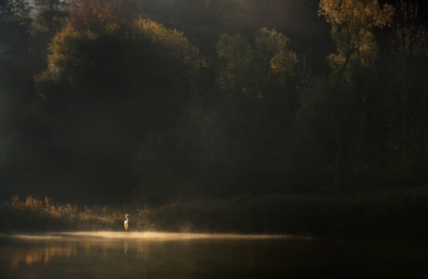 Photograph Norbert Maier Down By The River on One Eyeland