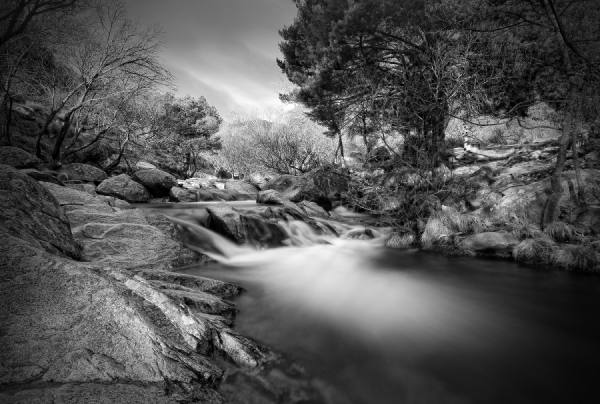 Photograph Amador Funes Dream on One Eyeland