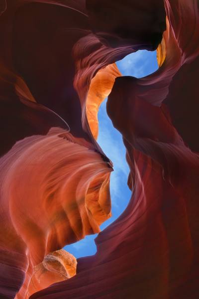 Photograph Craig Bill Earthly Embrace on One Eyeland