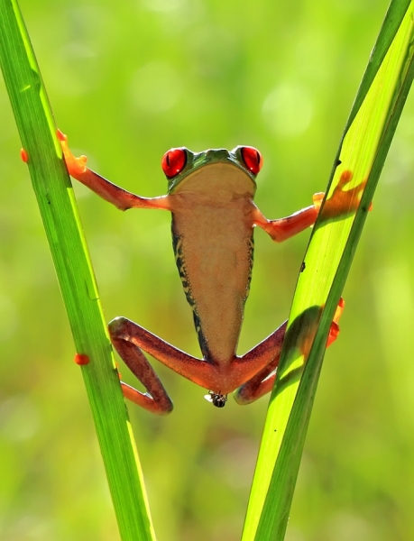 Photograph William Cen Fly In The Groin on One Eyeland