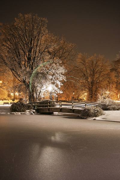 Photograph Larry Hamill Icey Night on One Eyeland