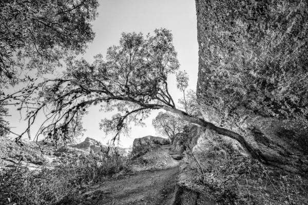 Photograph Marcos Furer Light Searcher on One Eyeland