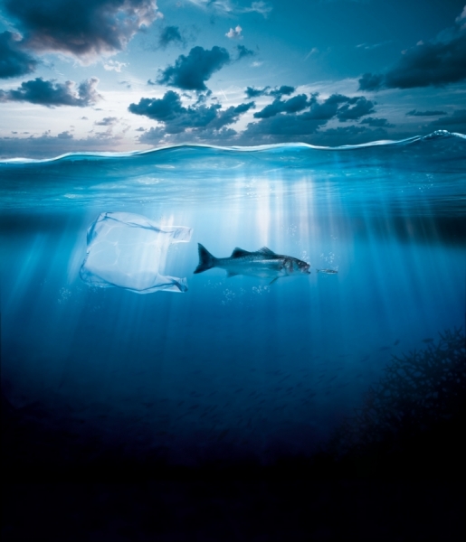 Photograph Carlo Roque Marevivo on One Eyeland