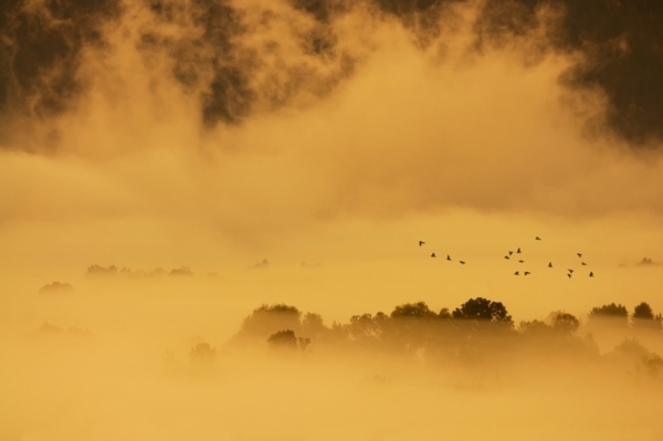 Photograph Norbert Maier Misty Morning on One Eyeland