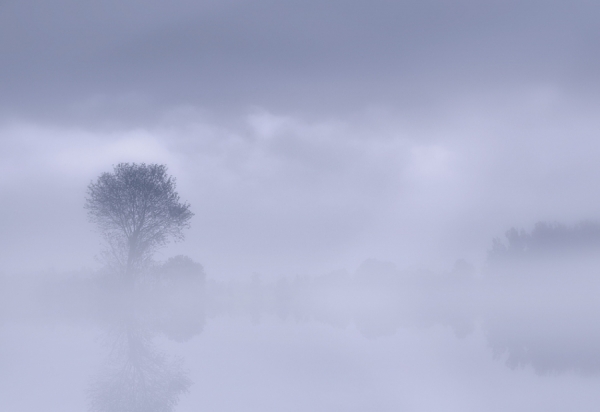 Photograph Norbert Maier Morning Fog on One Eyeland