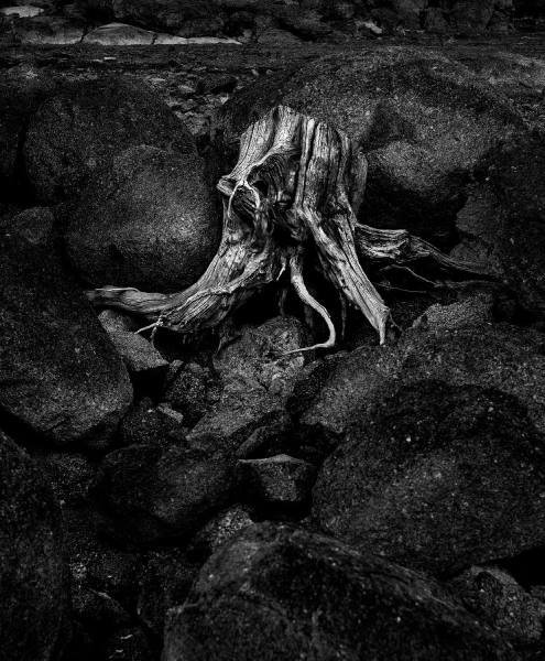 Photograph Juan De Villalba Naturaleza Muerta on One Eyeland