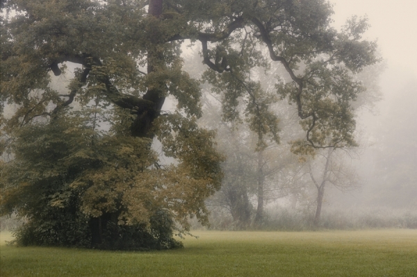 Photograph Norbert Maier November Morning on One Eyeland