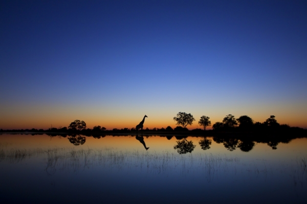 Photograph Mario Moreno Okavango on One Eyeland