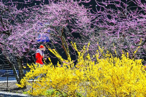 Photograph Mitchell Funk Purple Yellow Red on One Eyeland