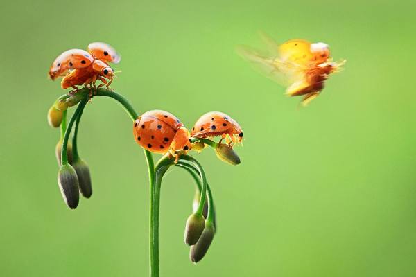 Photograph Shikhei Goh Queueing on One Eyeland