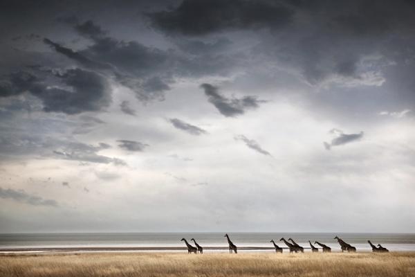 Photograph Ben Mcrae Rains On The Plains on One Eyeland