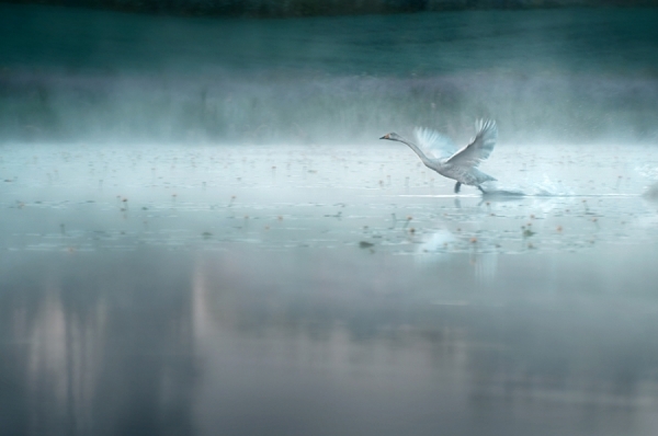 Photograph Mikko Lagerstedt Take Off on One Eyeland