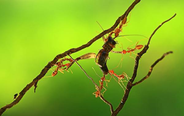 Photograph Shikhei Goh Team Work on One Eyeland