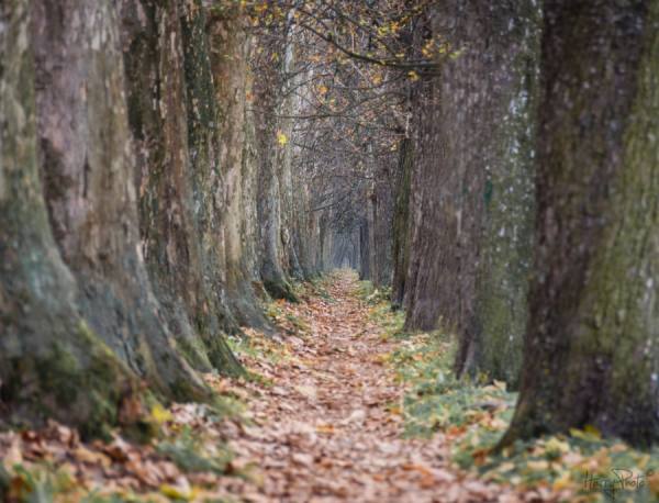 Photograph Harry Digdesign The Road To Nowhere on One Eyeland