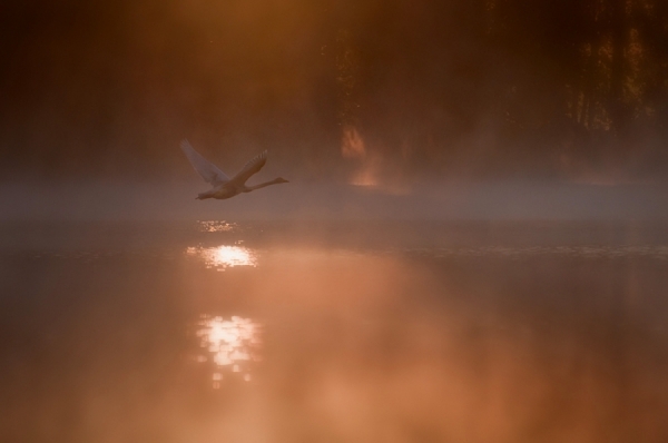 Photograph Mikko Lagerstedt Under Rising Sun on One Eyeland
