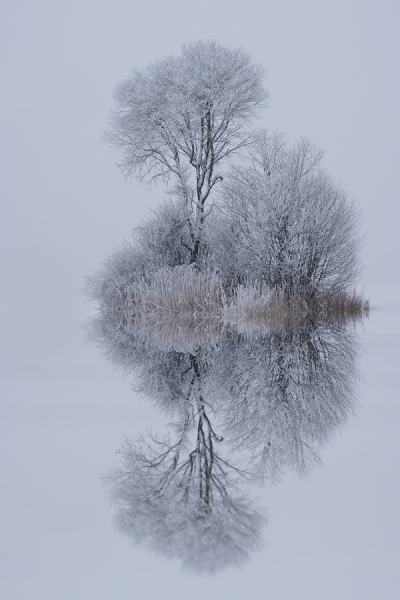 Photograph Norbert Maier Winter Feeling on One Eyeland