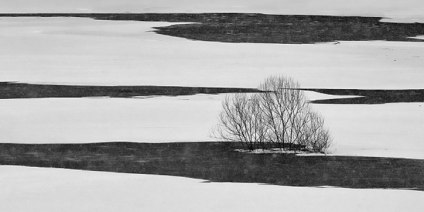 Photograph Jure Kravanja Black On White on One Eyeland
