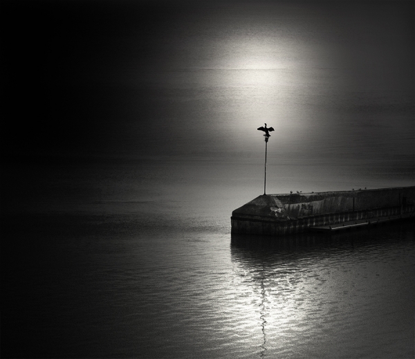 Photograph David Senechal Polydactyle Quai No3 on One Eyeland