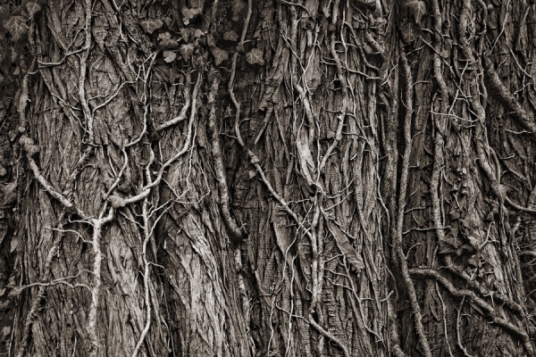 Photograph Dario Marelli Be Nervous on One Eyeland