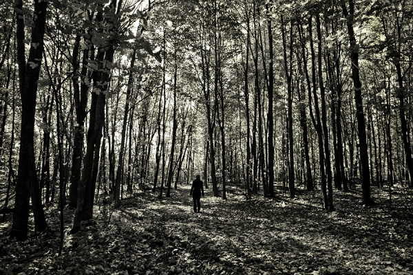 Photograph David Senechal Polydactyle Dancing Like Tree on One Eyeland