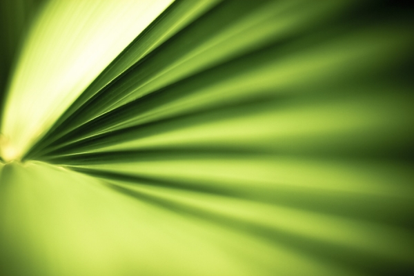 Photograph Preyen Moodley Warp Speed on One Eyeland