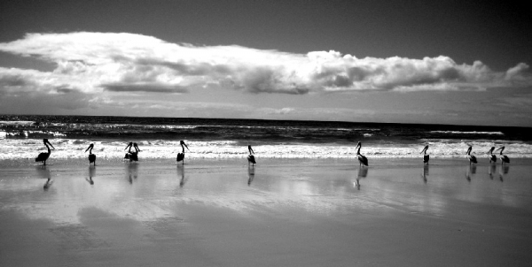 Photograph Tanja Laitila Brethvad 75 Mile Beach on One Eyeland