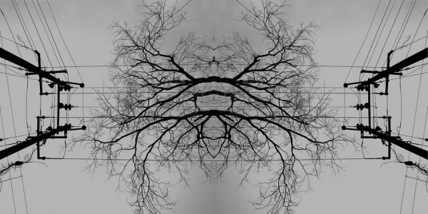 Photograph K Sharad Haksar Nirvana on One Eyeland