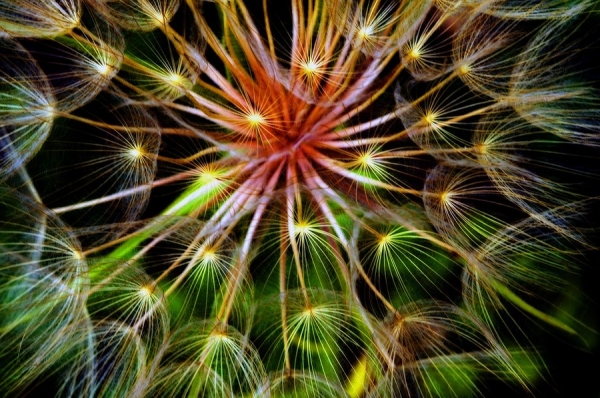 Photograph Michel Bochet Merand Explosion Of Lights on One Eyeland