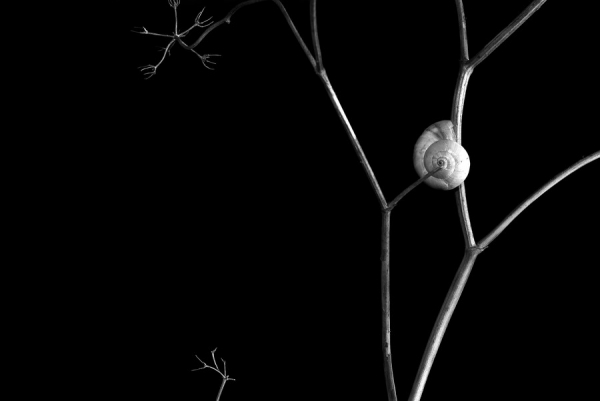 Photograph Michel Bochet Merand Alone In The Dark on One Eyeland