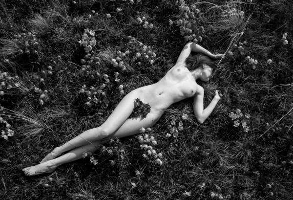 Photograph Alexander Kamakaev Flower Meadow on One Eyeland