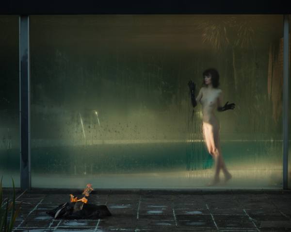 Photograph Marc Rogoff Bambi2 on One Eyeland