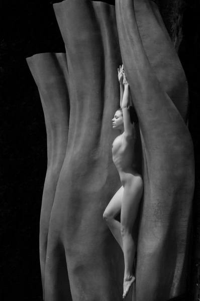 Photograph Alex Berkun Cocoon on One Eyeland