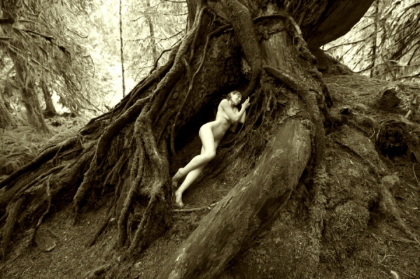 Photograph Pete Saloutos Deep In The Woods on One Eyeland