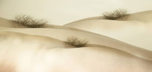 Photograph Eldad Pnini Erotic View on One Eyeland