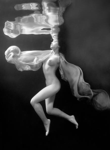 Photograph Shelley Acuff Pool4168 on One Eyeland